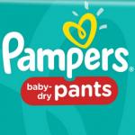 Pampers Baby-Dry Pants luiers / luierbroekjes